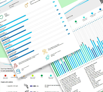 Bioresonance Report Clearwater