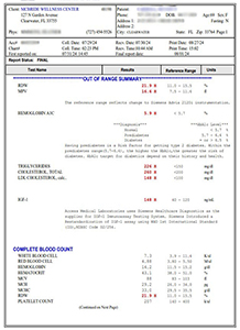 Blood Test