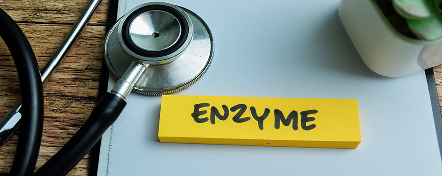Enzyme Replacement Nutrition Clearwater