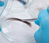 Hair Follicle Testing Clearwater