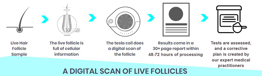 Hair Follicle Testing Process
