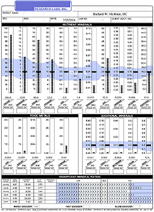 Mineral Hair Report Clearwater