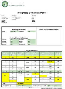Urinalysis Report Clearwater